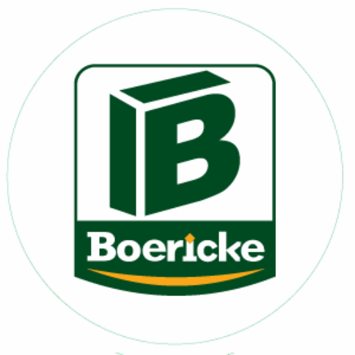 Boericke