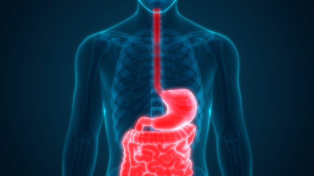 Digestive System Disorders